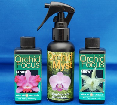 Orchid Focus 3 Pack